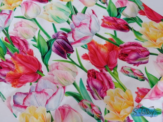 Úplet barevné tulipány
