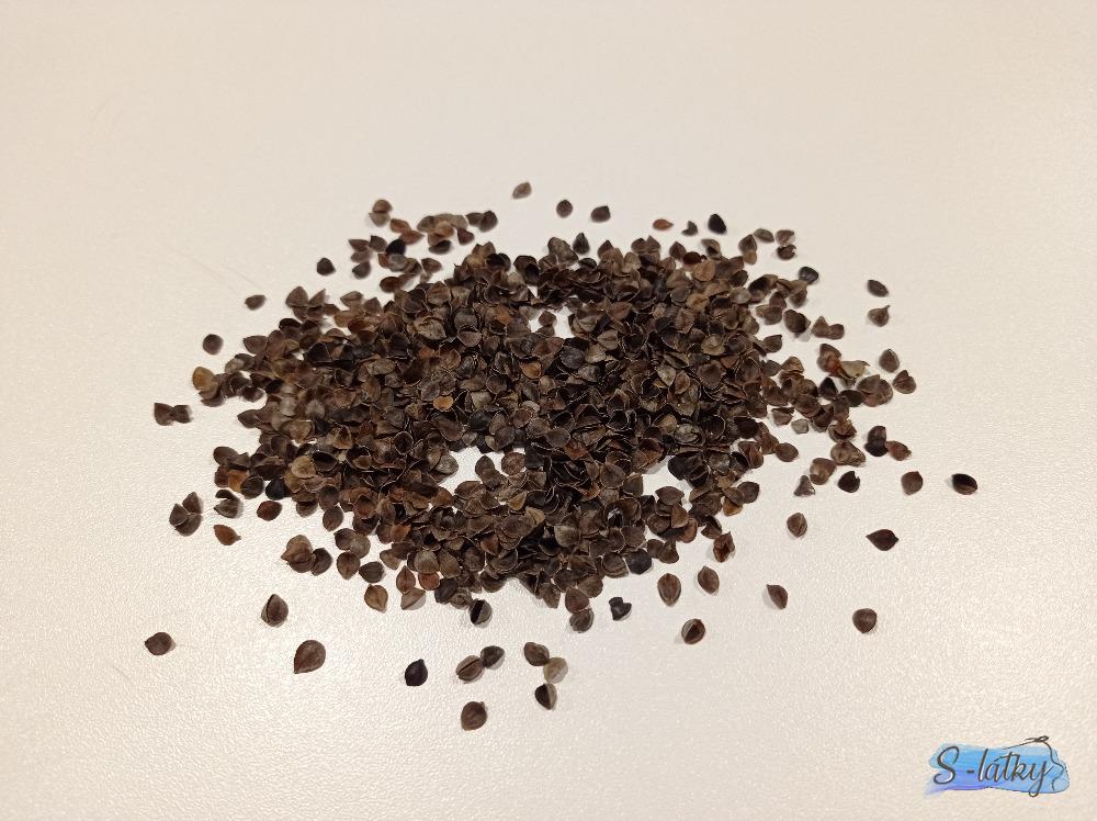 BIO pohankové slupky 0,5kg